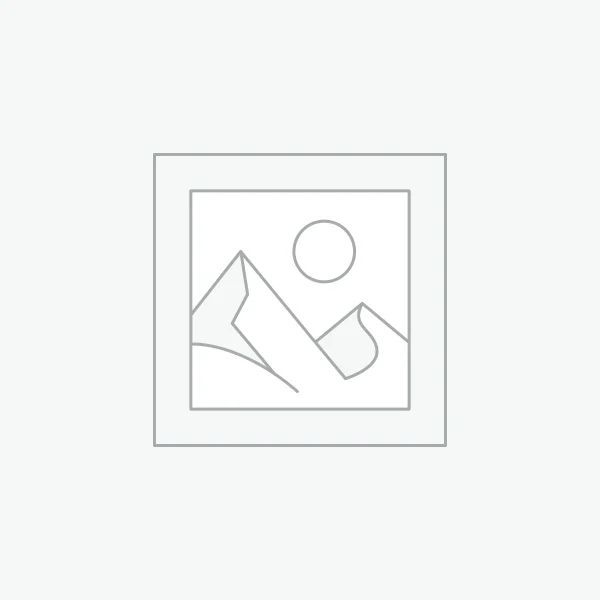 Dewoitine D520